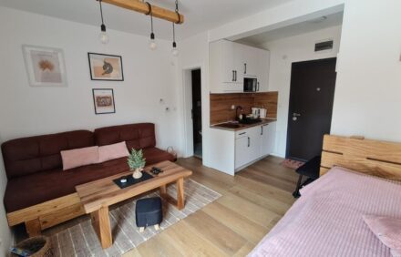 Šišarka Jahorina Standard Studio Apartment